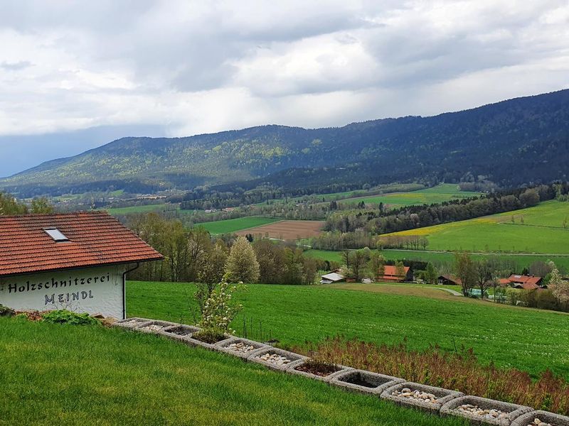 18704480-Ferienwohnung-2-Arnbruck-800x600-2