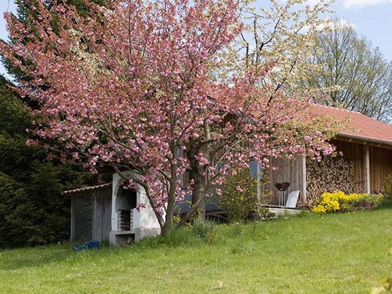 18704127-Ferienwohnung-4-Arnbruck-800x600-0