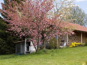 18704127-Ferienwohnung-4-Arnbruck-300x225-0