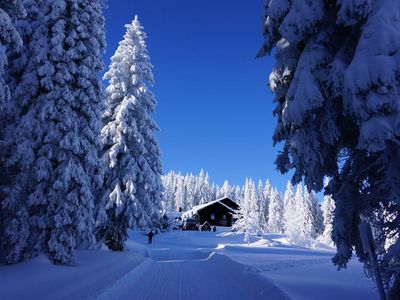 Winter in Arnbruck