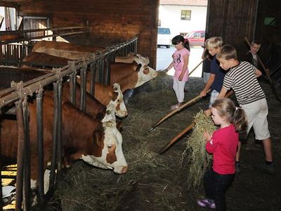 Kinder im Stall