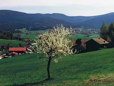 Ausblick Frühling