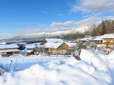 Hof im Winter