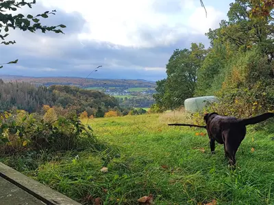Ferienwohnung für 4 Personen (60 m²) in Arnsberg 6/10