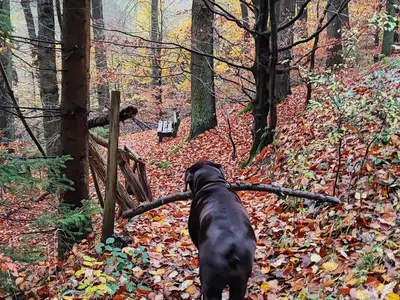 Ferienwohnung für 4 Personen (60 m²) in Arnsberg 8/10