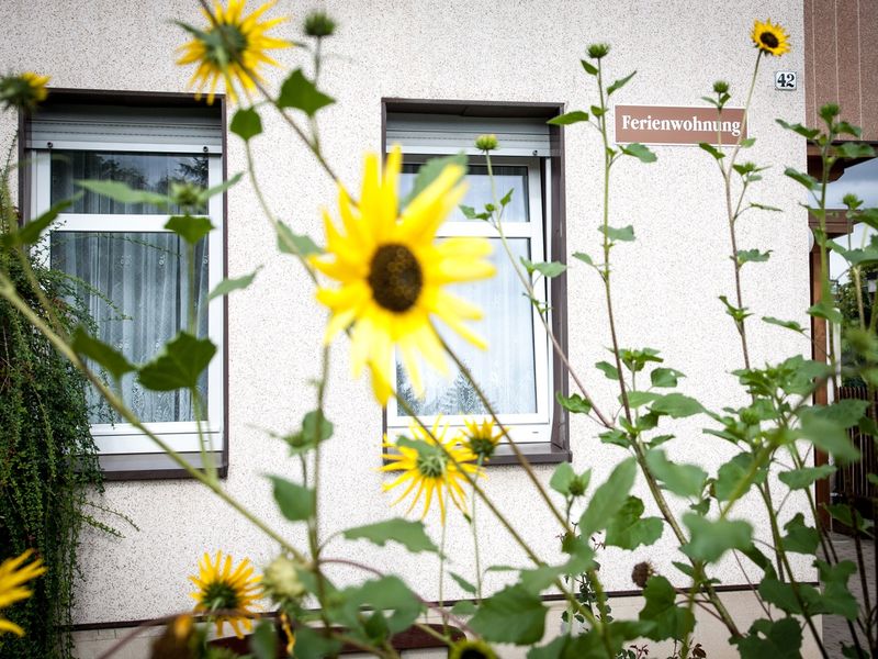 19178225-Ferienwohnung-3-Arnstadt-800x600-2