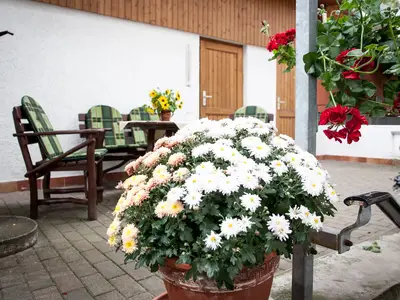 Ferienwohnung für 3 Personen (55 m²) in Arnstadt 5/10
