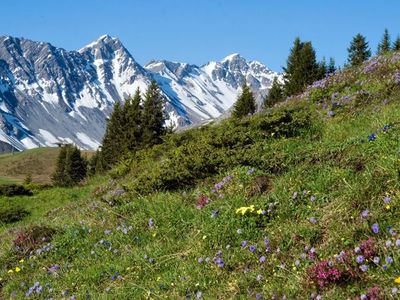 Ferienwohnung für 2 Personen (55 m²) in Arosa 6/10