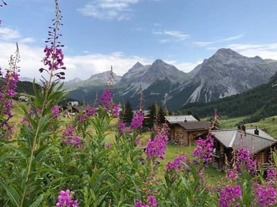 Ferienwohnung für 4 Personen (65 m²) in Arosa 2/10