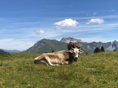 Ferienwohnung für 4 Personen (65 m²) in Arosa 5/10