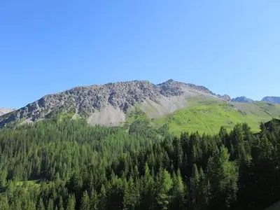 Ferienwohnung für 2 Personen (47 m²) in Arosa 2/10