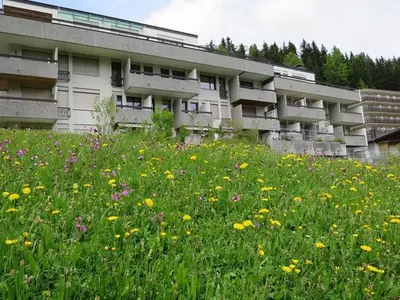 Ferienwohnung für 2 Personen (47 m²) in Arosa 4/10