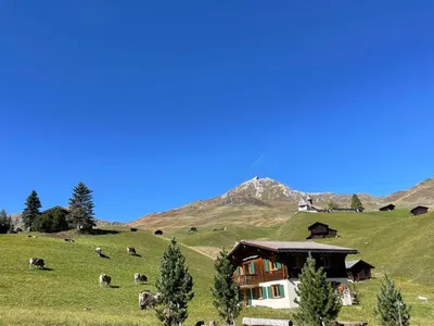 Ferienwohnung für 5 Personen (100 m²) in Arosa 7/10