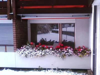 Ferienwohnung für 4 Personen (50 m²) in Arosa 8/10