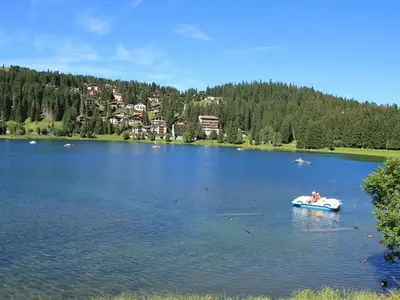 Ferienwohnung für 4 Personen (90 m²) in Arosa 8/10