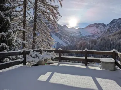 Ferienwohnung für 4 Personen (50 m²) in Arosa 10/10