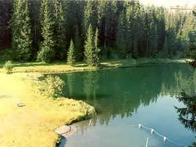 Ferienwohnung für 4 Personen (72 m²) in Arosa 6/10
