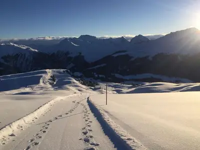 Ferienwohnung für 4 Personen (65 m²) in Arosa 5/10