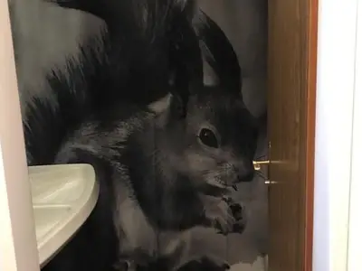 Ferienwohnung für 4 Personen (65 m²) in Arosa 2/10