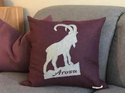 Ferienwohnung für 4 Personen (65 m²) in Arosa 8/10