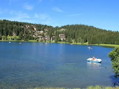 Ferienwohnung für 4 Personen (54 m²) in Arosa 7/10