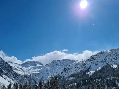 Ferienwohnung für 4 Personen (35 m²) in Arosa 3/10