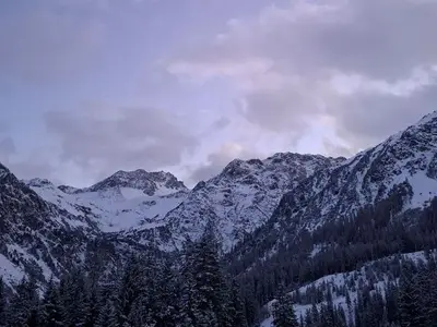 Ferienwohnung für 4 Personen (35 m²) in Arosa 10/10