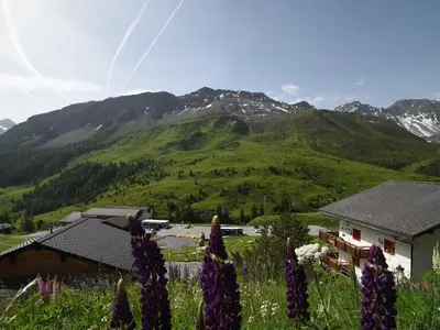 Ferienwohnung für 4 Personen (56 m²) in Arosa 4/10