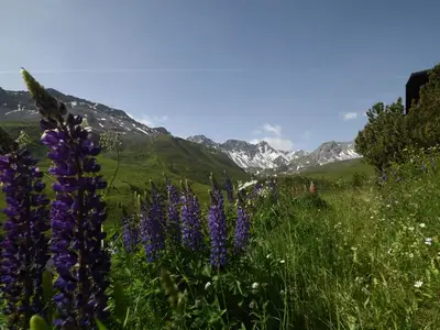 Ferienwohnung für 4 Personen (56 m²) in Arosa 5/10