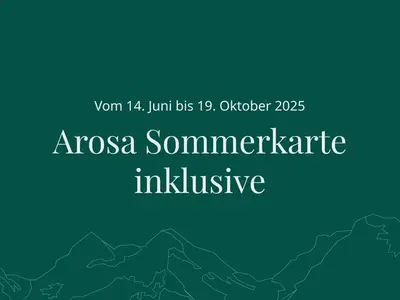 Ferienwohnung für 4 Personen (55 m²) in Arosa 7/10