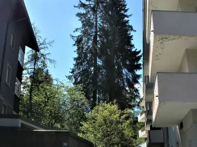 Ferienwohnung für 2 Personen (30 m²) in Arosa 9/10