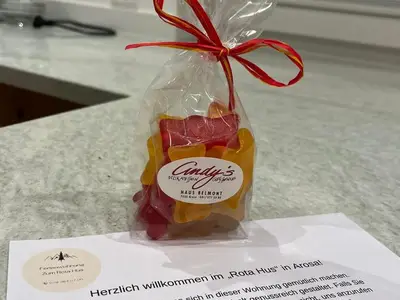 Ferienwohnung für 3 Personen (46 m²) in Arosa 10/10