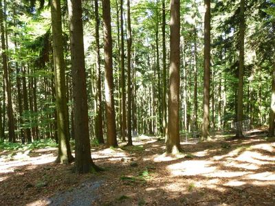 Ferienwohnung für 3 Personen (35 m²) in Arrach-Kummersdorf 5/10