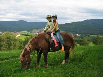 Kostenloses reiten mit unseren Pferden