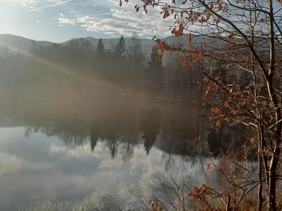 Rundweg um den See