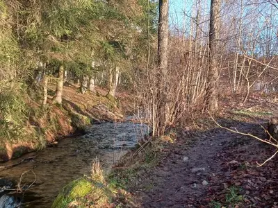 Rundweg um den See