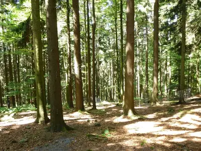 Ferienwohnung für 3 Personen (35 m²) in Arrach 5/10