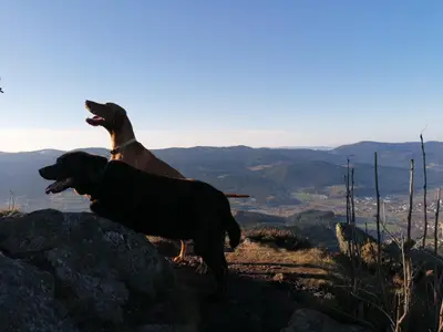 Wandertour nach CZ