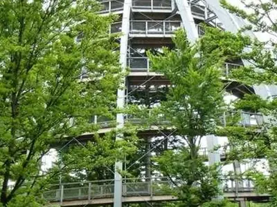 Ferienwohnung für 5 Personen (75 m²) in Arrach-Kummersdorf 10/10
