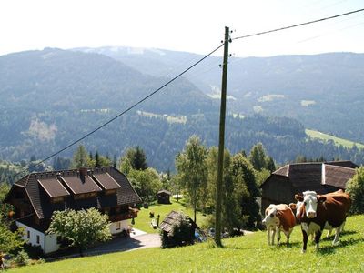 Ferienwohnung für 4 Personen (50 m²) in Arriach 3/10