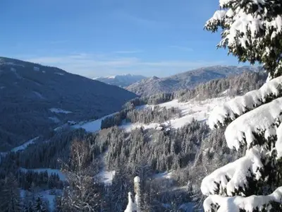 Ferienwohnung für 4 Personen (50 m²) in Arriach 10/10