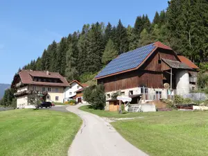 Ferienwohnung für 5 Personen (60 m²) in Arriach
