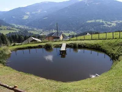 Ferienwohnung für 4 Personen (40 m²) in Arriach 4/10