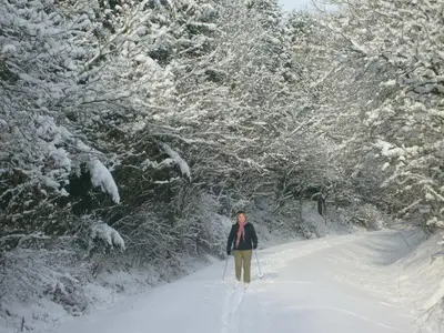 im Winter