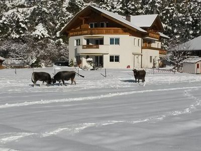 Ferienwohnung für 4 Personen (60 m²) in Arzl im Pitztal 5/10