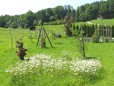 Gartenblick