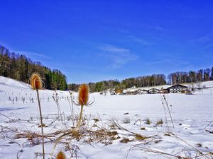 18560370-Ferienwohnung-4-Aschau im Chiemgau-300x225-5