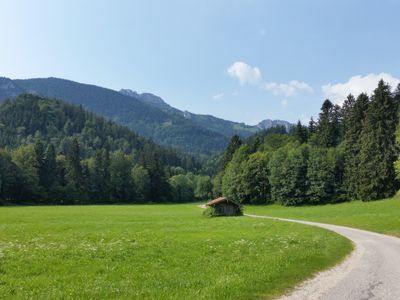 Natur vor der Tür