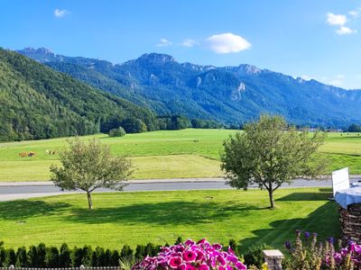 Panoramablick der Ferienwohnung