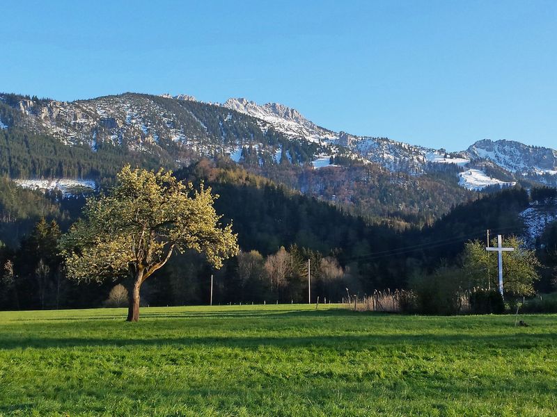 72344-Ferienwohnung-2-Aschau im Chiemgau-800x600-2